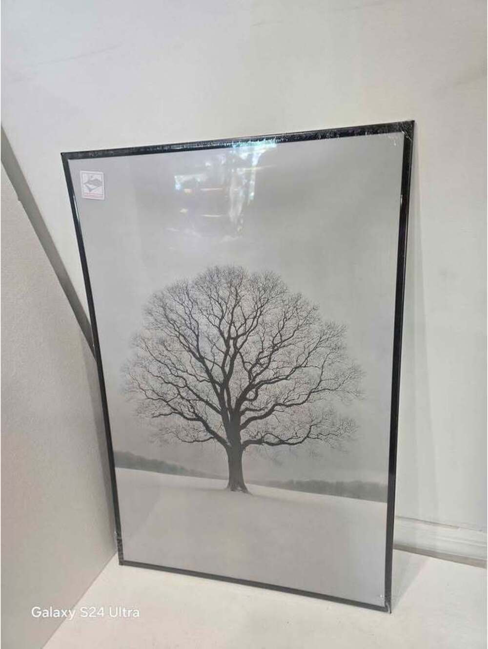 Three Large Framed Tree Canvas / Wall Decor – Neutral Home Accent